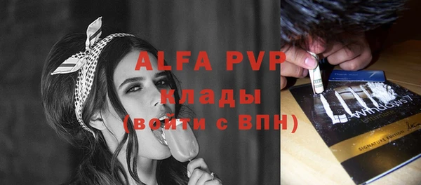 спайс Санкт-Петербург